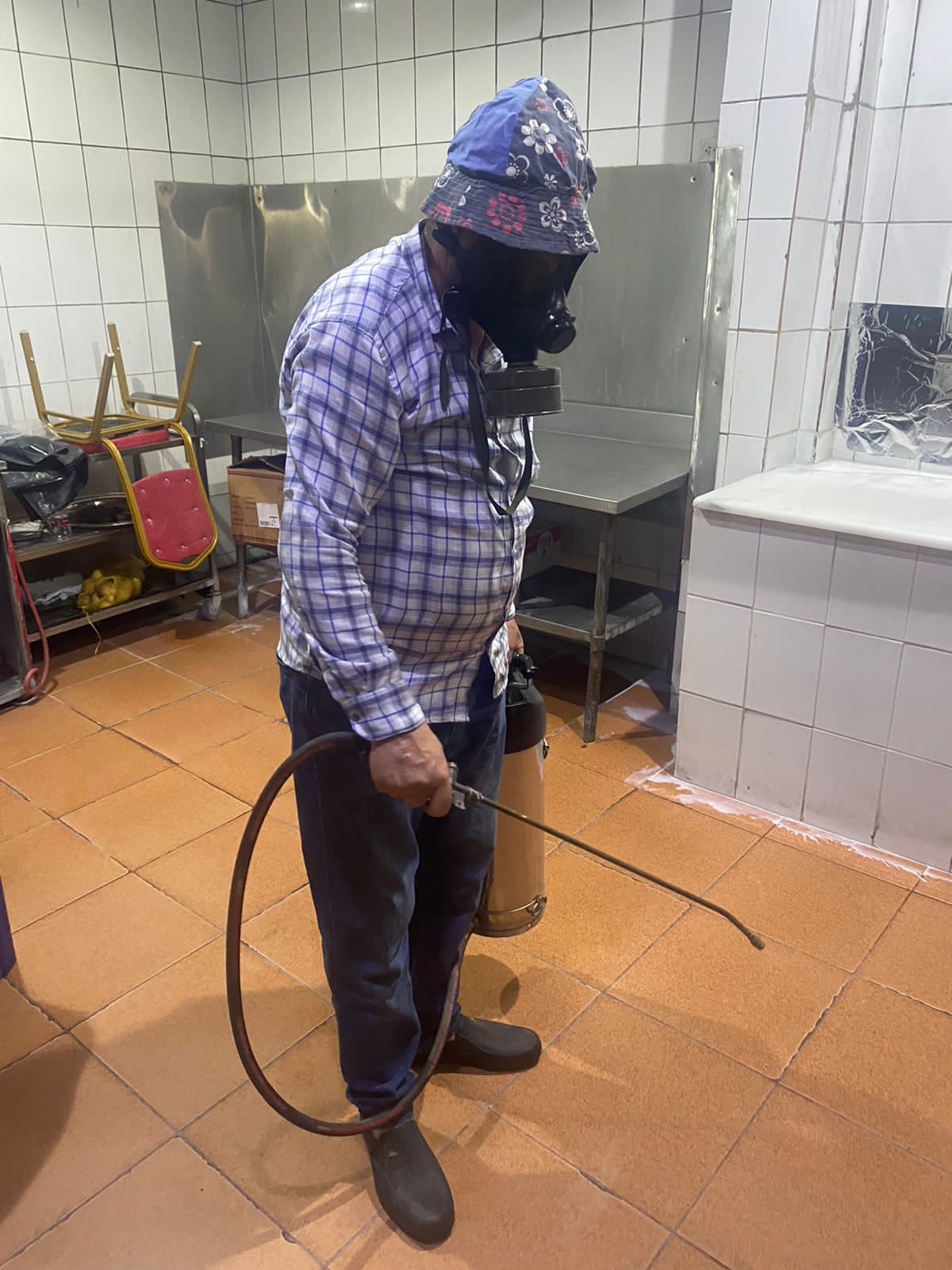 شركة المجال لمكافحة الحشرات